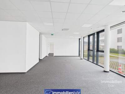 Gewerbeobjekt mieten in 4061 Pasching (Bild 5)