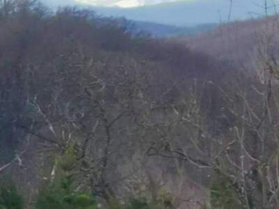 Grundstück kaufen in 3004 Ried (Bild 4)