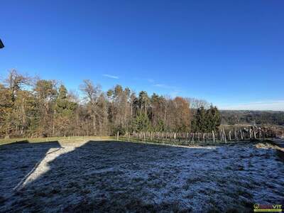 Grundstück kaufen in 8511 Sankt Stefan