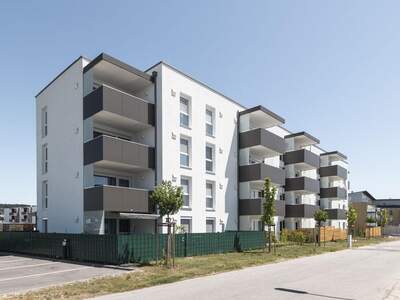 Wohnung mieten in 4320 Perg (Bild 1)
