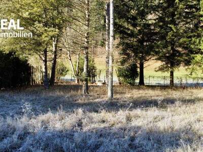 Grundstück kaufen in 3172 Ramsau (Bild 3)