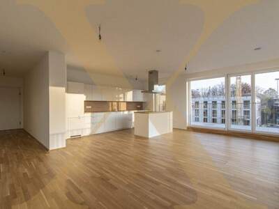 Terrassenwohnung mieten in 4020 Linz (Bild 1)