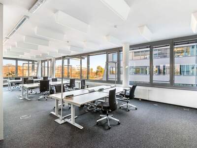 Gewerbeobjekt mieten in 1210 Wien (Bild 4)