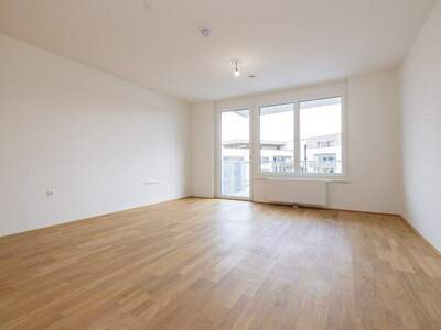 Terrassenwohnung mieten in 2700 Wr. Neustadt (Bild 2)