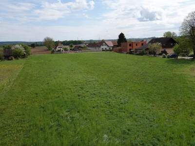 Grundstück kaufen in 8431 Gralla