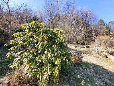 Grundstück kaufen in 3021 Pressbaum (Bild 5)