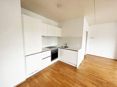 Terrassenwohnung mieten in 1200 Wien (Bild 4)