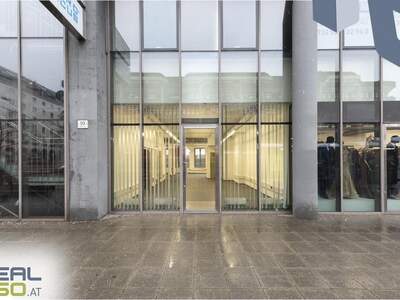 Gewerbeobjekt mieten in 4040 Linz (Bild 1)