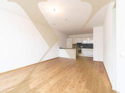 Terrassenwohnung mieten in 4020 Linz (Bild 1)