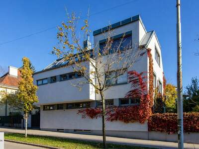 Haus kaufen in 1190 Wien