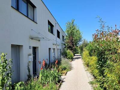Wohnung mieten in 3500 Gneixendorf (Bild 2)