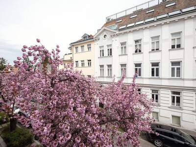 Wohnung kaufen in 1190 Wien