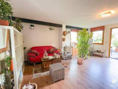 Haus kaufen in 3426 Muckendorf