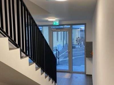 Terrassenwohnung mieten in 1230 Wien (Bild 4)