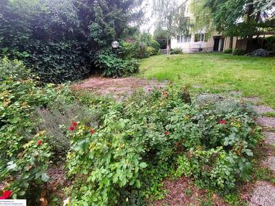 Haus mit Garten kaufen in 3430 Tulln (Bild 3)