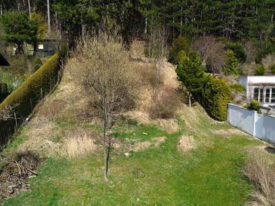 Grundstück kaufen in 2733 Grünbach (Bild 3)