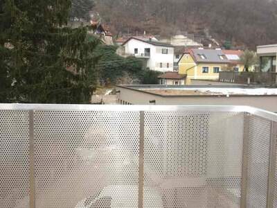 Terrassenwohnung mieten in 3500 Krems (Bild 5)