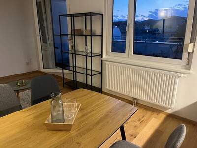 Terrassenwohnung mieten in 1210 Wien (Bild 2)