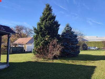 Grundstück kaufen in 8042 Graz (Bild 5)