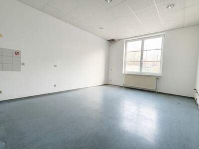 Einzelhandel mieten in 3681 Hofamt Priel (Bild 5)