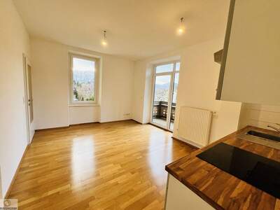 Wohnung mit Balkon mieten in 8990 Bad Aussee (Bild 3)
