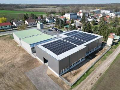 Lager kaufen in 2293 Marchegg (Bild 2)