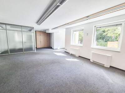 Gewerbeobjekt mieten in 1190 Wien (Bild 5)