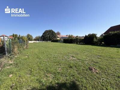 Grundstück kaufen in 2473 Potzneusiedl (Bild 4)