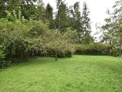 Grundstück kaufen in 5026 Salzburg (Bild 1)