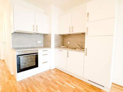 Etagenwohnung provisionsfrei mieten in 1080 Wien