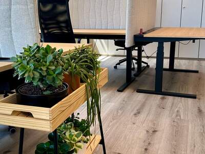 Gewerbeobjekt mieten in 4210 Gallneukirchen (Bild 3)