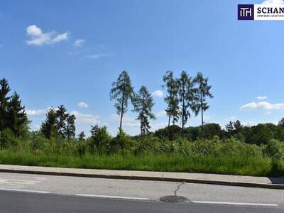 Grundstück kaufen in 8301 Laßnitzhöhe (Bild 2)