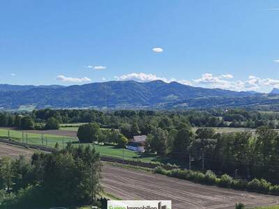 Grundstück kaufen in 4542 Nußbach (Bild 3)