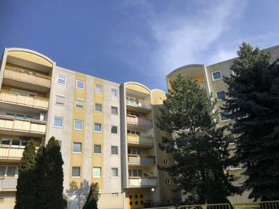 Wohnung mieten in 2700 Wiener Neustadt