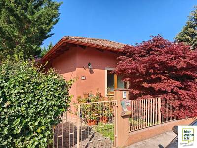 Haus kaufen in 2512 Tribuswinkel