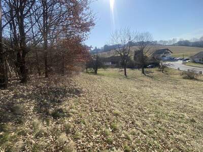 Grundstück kaufen in 7534 Olbendorf