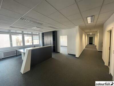 Gewerbeobjekt mieten in 1130 Wien (Bild 3)