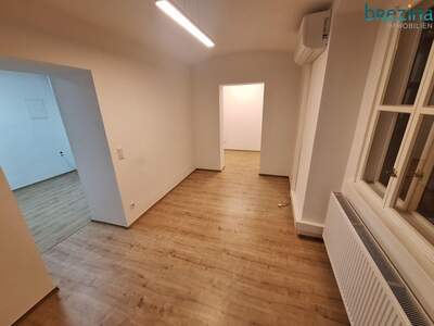 Altbauwohnung mieten in 1010 Wien (Bild 4)