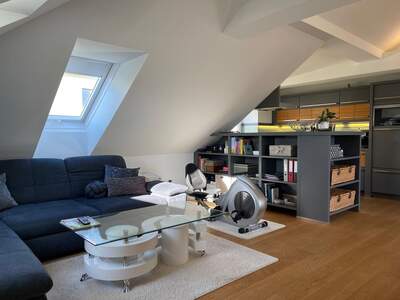 Terrassenwohnung mieten in 3500 Krems (Bild 4)