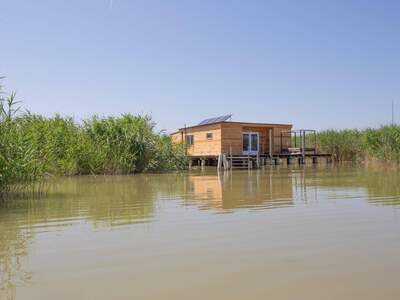 Haus kaufen in 7071 Rust