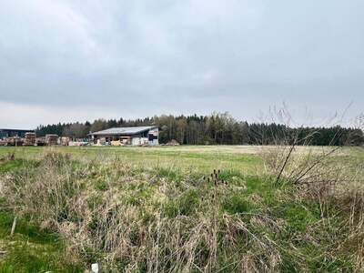 Grundstück kaufen in 4621 Schnarrndorf (Bild 1)