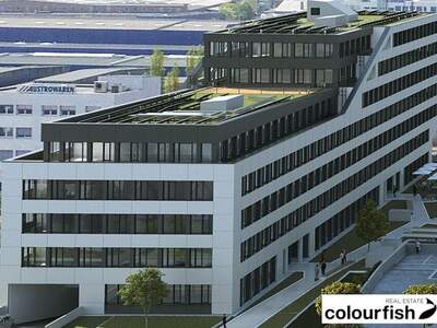 Gewerbeobjekt mieten in 1230 Wien (Bild 3)