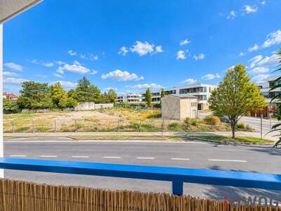 Terrassenwohnung kaufen in 2100 Korneuburg (Bild 3)