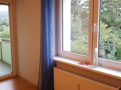 Apartment provisionsfrei mieten in 2620 Neunkirchen