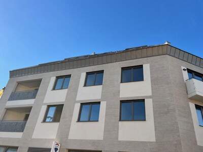 Gewerbeobjekt kaufen in 2000 Stockerau (Bild 4)