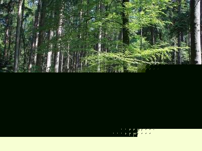 Gewerbeobjekt kaufen in 8600 Obersteiermark