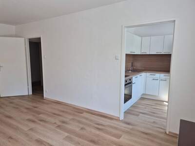 Wohnung mieten in 1130 Wien (Bild 3)