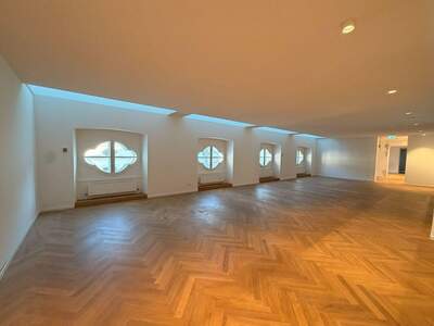 Gewerbeobjekt mieten in 1010 Wien (Bild 4)