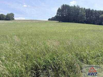 Gewerbeobjekt kaufen in 7537 Neuberg