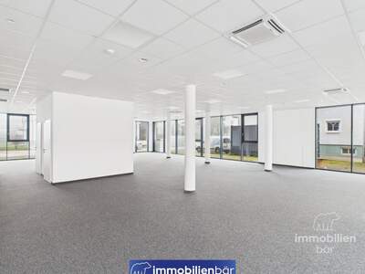 Gewerbeobjekt mieten in 4061 Pasching (Bild 3)